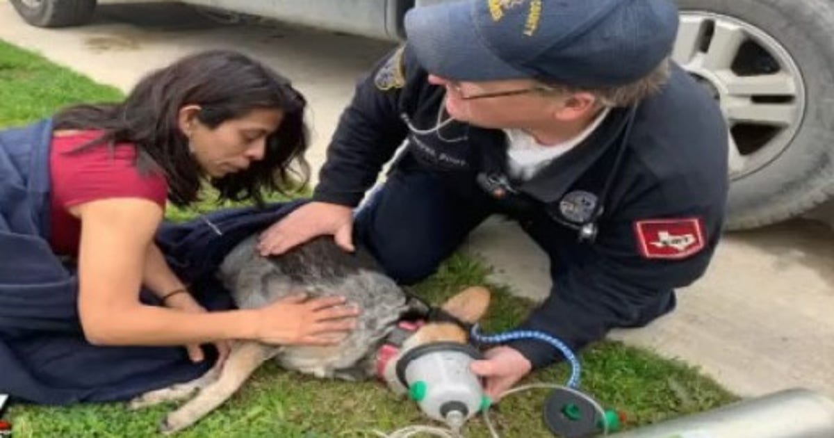 Medics revive dog in Del Valle fire | FOX 7 Austin