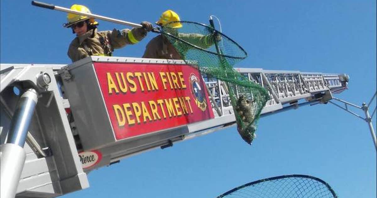 AFD battles brush fire near busy southwest Austin intersection | FOX 7 ...