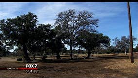 Texas Department of State Health Services assisting Zilker Park rabies case