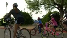 FOX 7 Discussion: More pedestrians, bicyclists involved in crashes