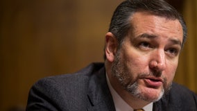 Ted Cruz presses Customs and Border Protection for coronavirus preparedness plan