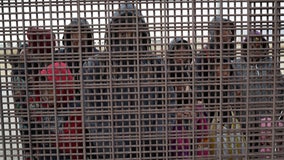 Texas Gov. Abbott warns border woes 'will get worse,' points to 'bipartisan response' to Biden admin