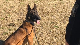 Hutto PD gets first narcotics detection K9
