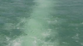 Search for missing swimmer in Lake Travis