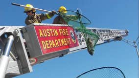 AFD battles brush fire near busy southwest Austin intersection