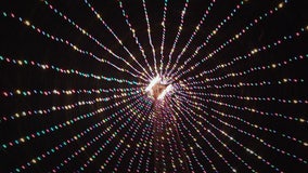 Zilker Tree Lighting to kick off holiday season on Nov. 26