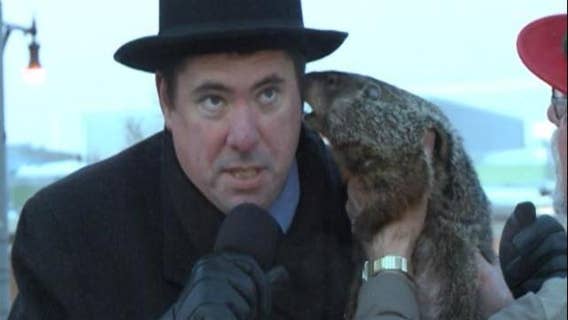 Groundhog bites mayor during Groundhog Day ceremony
