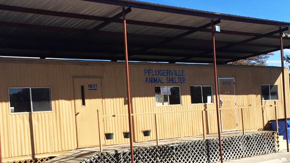 Pflugerville looking at fixing current animal shelter after bond voted down