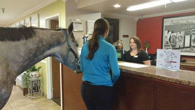 Kentucky motel welcomes woman and horse as guests