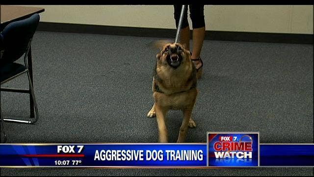 Austin Police Department officers get aggressive dog training