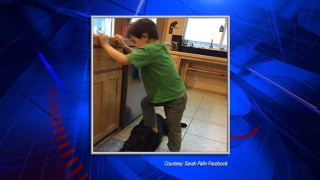 Sarah Palin Facebook post of son stepping on dog causes controversy