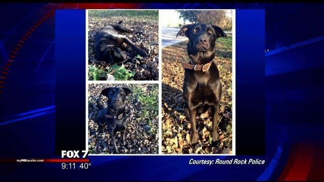Round Rock Police introduce new K9 recruits