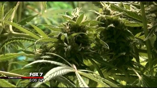 Texans push for marijuana law reform