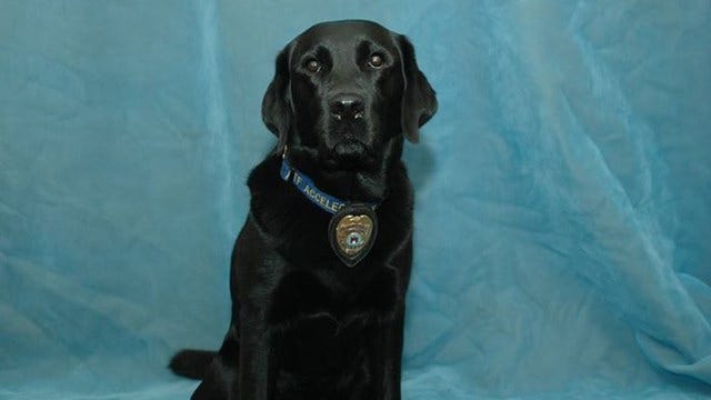 AFD mourning the loss of one of their own