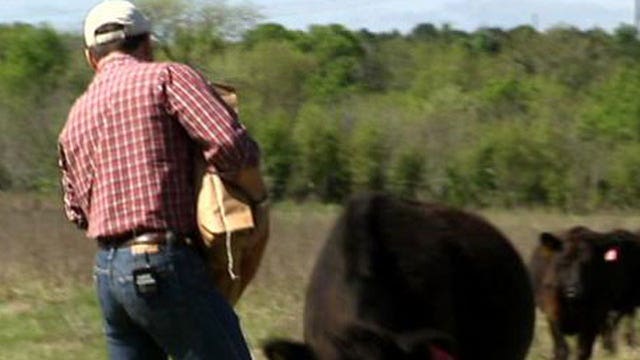 New passion after leaving Armed Forces