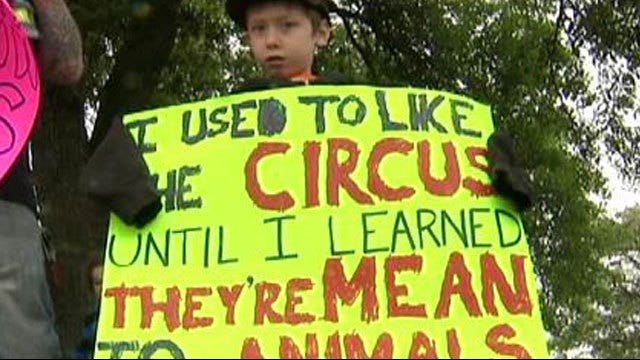 Activists protest against Vasquez brothers circus: claim animals are being mistreated