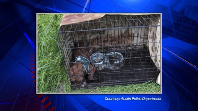 APD asking for public's help in animal cruelty case