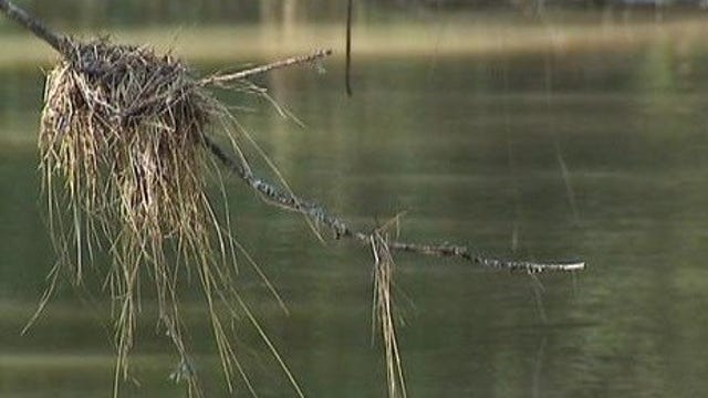 Two drown inside their cars after being swept away