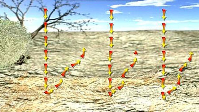 Weather Facts: Triple digit facts