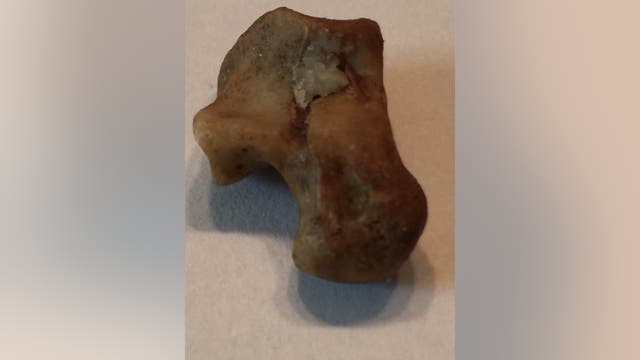 Man says he discovered animal bone in Whole Foods Trail Mix