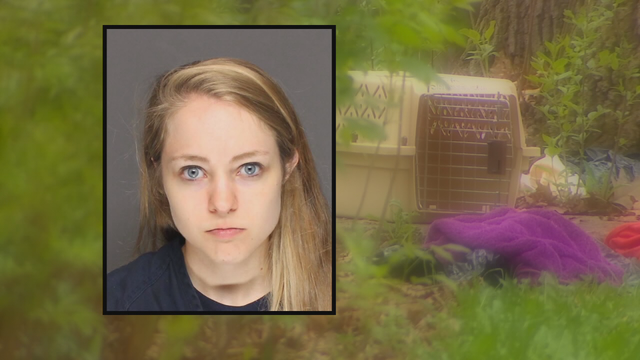 26-year-old woman sentenced after 64 dead cats found at Farmington home