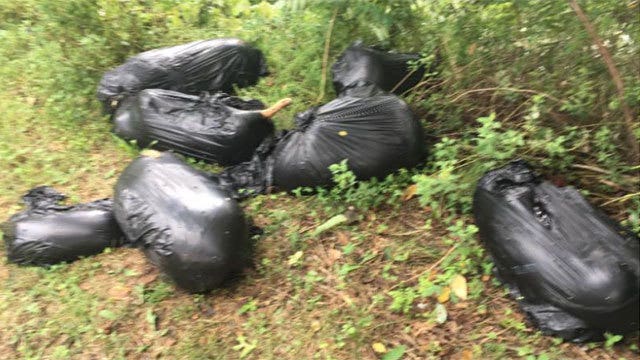 7 dead pit bulls found in garbage bags on Long Island