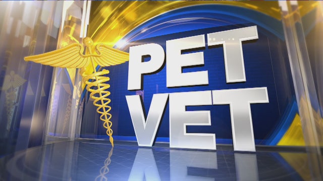 Ask the Pet Vet: September 28