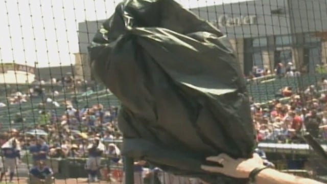 Bee delay at Round Rock Express game