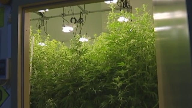SB 3 could impact veterans using legal hemp products: FOX 7 Care Force