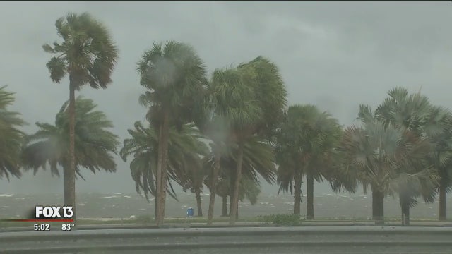 Tropical Storm Emily comes ashore along Anna Maria, soaking coast