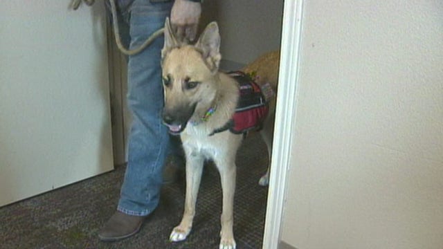 Care Force: One veteran's battle with PTSD