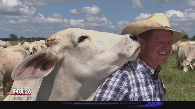 Cattle ranchers reflect on Harvey one year later