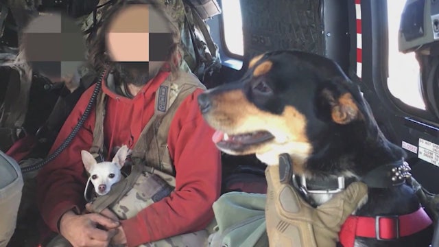 Couple and their dogs trapped in snow survive two-week ordeal