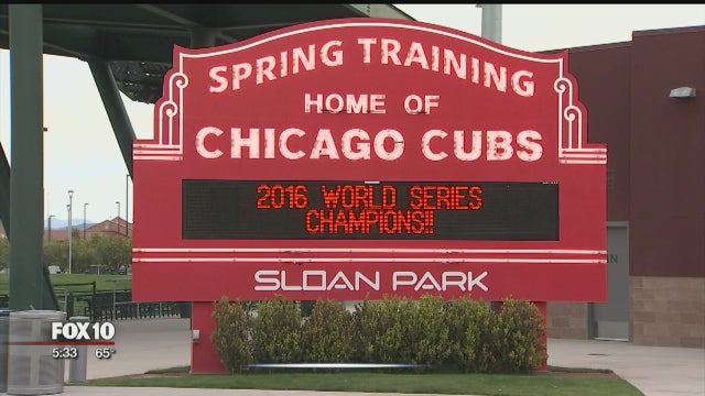 Take me out to the ball game: Cubs fans lining for spring training tickets