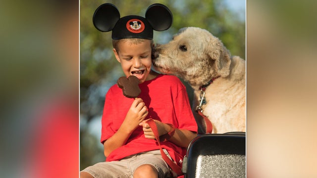 Several Disney resorts go pet-friendly