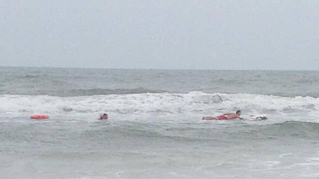 Florida lifeguard saves struggling deer from Atlantic Ocean