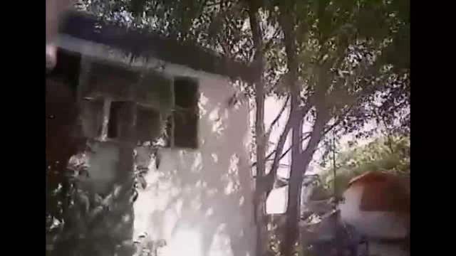 Pasco deputy shoots finger while shooting at dog during attack