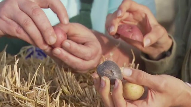 East Austin Garden Fair