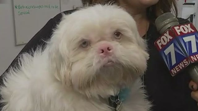 Emancipet opens new state-of-the-art Austin clinic