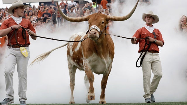 PETA calls on Texas, Georgia to end live mascot use after Sugar Bowl incident