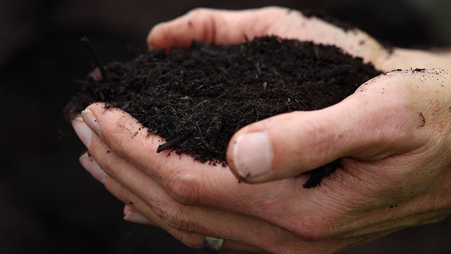 Austin adds 55,000 households to curbside composting collection program