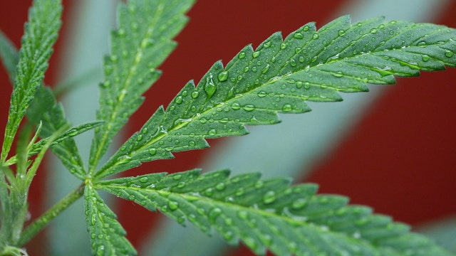 Austin police still enforcing marijuana possession, although cases being dismissed