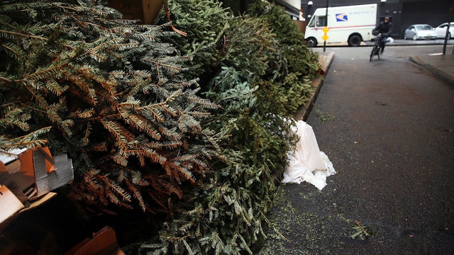 Woman got refund after Christmas tree died, fellow shopper says