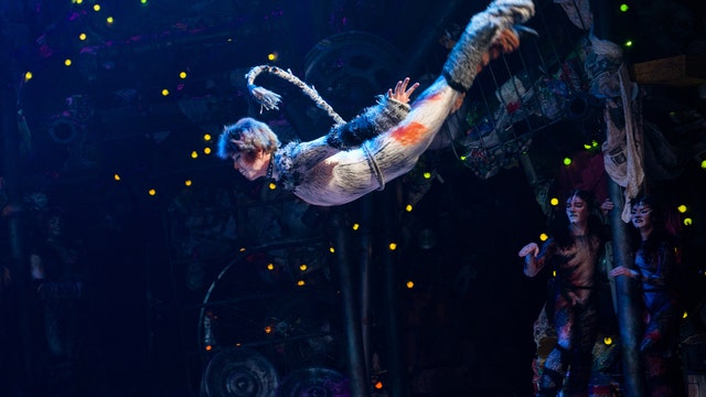 Austin Public Library to host 'Cats' the Musical brown bag lunch, Q&A