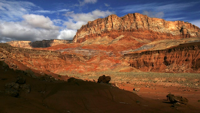 Agency collects animals killed by cars, poachers for tribes