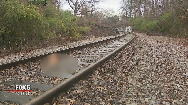 Headless chickens spark shock in metro Atlanta community