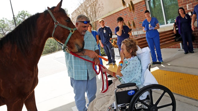 Horse pays surprise visit to hospitalized woman