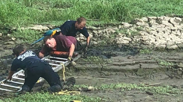 Man rescued from mud with parrot perched on his shoulders