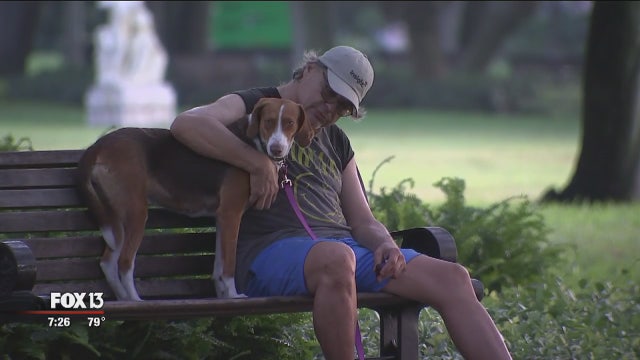 Dog finds forever home after being abandoned in Panhandle during Hurricane Michael