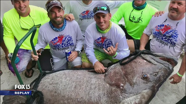 Local firefighter catches 409-pound grouper